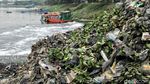 Foto: Waduk Pluit Dibersihkan