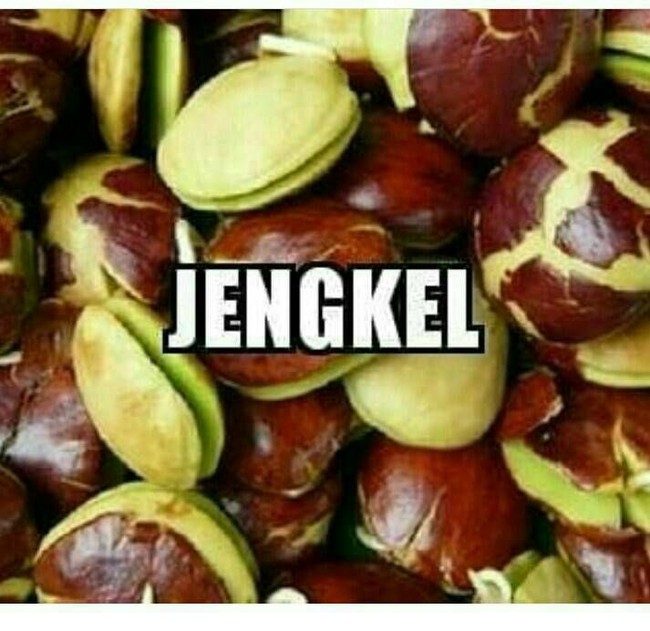 Ketika jengkel tapi foto menunjukkan jengkol Foto: Istimewa