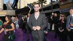 Saudara Kandung dan Tiri Chris Hemsworth di Premier Infinity War