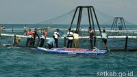 Luas wilayah Indonesia terdiri dari 2/3 lautan dan menjadi peluang yang sangat besar bagi pengembangan budidaya laut. Istimewa/Setkab.