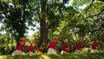 Foto: Hawaii dan Kehidupan yang Damai