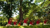 In hawaii being nice is the law, itulah artikel yang pernah diulas BBC Travel. Artinya, berbuat baik adalah peraturan di Hawaii (Hawaii Tourism Authority/Facebook)