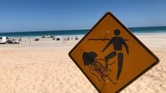 Pantai Ditutup Karena Ubur-Ubur Mematikan Di Australia Barat