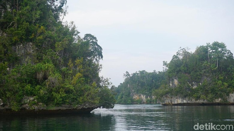 Teluk Kabui di Raja Ampat (Shinta/detikTravel) Teluk Kabui di Raja Ampat (Shinta/detikTravel)