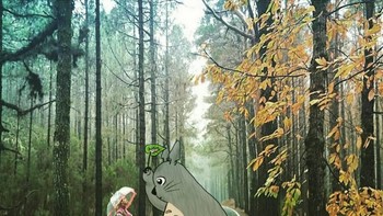 Bertemu Totoro di jalan. Foto: instagram.com/futurikon.wizardians/