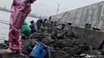 Ini Bentuk Tanggul Penahan Banjir Jakarta