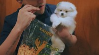 Sambil menggendong anjing peliharaannya, Aron asyik ngemil kerupuk nih. Lucu anjingnya atau lucu pemiliknya nih? Foto: instagram @aronashab
