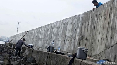 Ini Bentuk Tanggul Penahan Banjir Jakarta