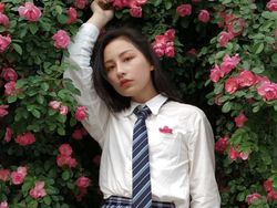 Penampakan Mi 6X dan Hasil Jepretan Kamera Gandanya