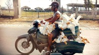 Kumpulan bebek yang diangkut dengan sepeda motor di Vietnam ini bisa saja berujung dengan kaburnya bebek-bebek ini di tengah perjalanan. Istimewa/wodumedia.com.