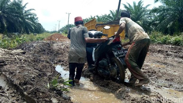 Jalan Jadi 'Bubur', Harga Pertanian Turun Drastis