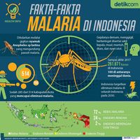 Infografis: Fakta Seputar Malaria Di Indonesia