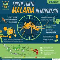 Yuk Kenali 6 Gejala Malaria dan Cara Mengobatinya