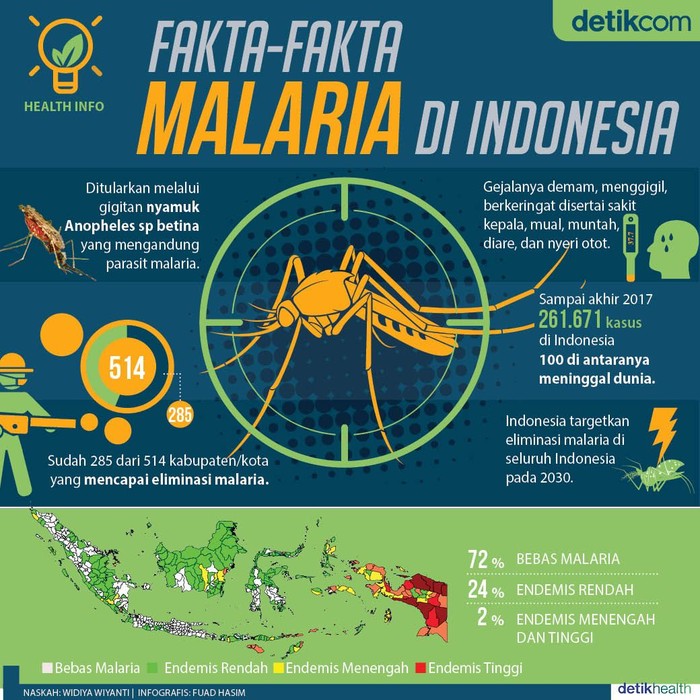 Infografis Fakta Seputar Malaria  di Indonesia 