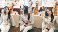 Sepertinya Anissa nggak takut sama kucing nih! Di kafe kucing, ia bersantai ditemani kucing lucu berwarna cokelat. Foto: Instagram anissaaziza