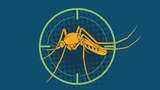 25 April Hari Malaria Sedunia, Begini Sejarah dan Cara Mencegahnya