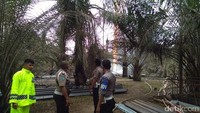 Petugas gabungan dari TNI-Polri, BPBD, pemadam kebakaran, sudah berada di lokasi melakukan penanganan. Tampak juga tim dari Pertamina yang akan berupaya membantu memadamkan api tersebut.
