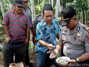 Sekarung Koin Kuno China di Banyuwangi Diserahkan ke Polisi