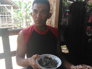 Sekarung Koin Kuno China Ditemukan di Belakang Rumah Warga