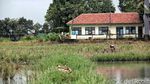 Melihat Lahan dan Bentuk Rumah DP Rp 0 di Rorotan