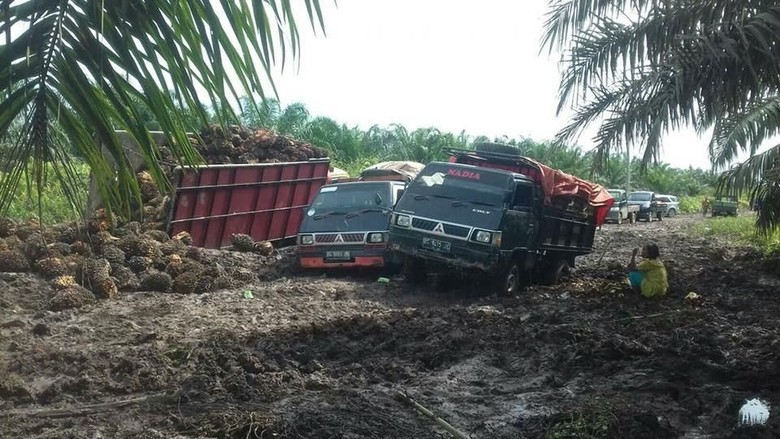 Jalan Jadi Bubur, Pak Bupati Dengarkan Jeritan Suara Warga Ini Jalan Jadi Bubur, Pak Bupati Dengarkan Jeritan Suara Warga Ini
