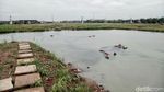 Melihat Lahan dan Bentuk Rumah DP Rp 0 di Rorotan