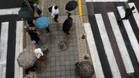 Dilaporkan dua remaja tewas akibat banjir di Israel dan Tepi Barat. Foto: Rami Shllush via Haaretz