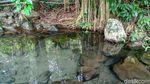 Misteri Mata Air yang Bergelembung di Ciamis