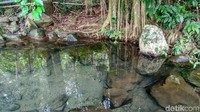 Salah satu potensi alam Ciamis yang bisa dijadikan tempat wisata yakni Mata Air Cidehem terletak di Dusun Citaman Desa Sandingtaman Kecamatan Panjalu Kabupaten Ciamis. Mata air ini memiliki keunikan tersendiri. (Dadang Hermansyah/detikTravel)