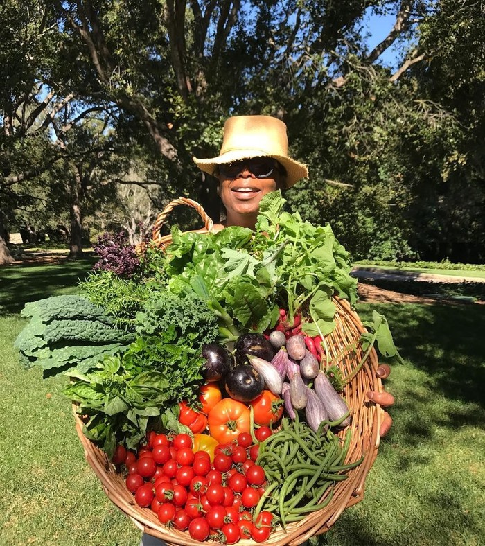 Hobi Berkebun Lihat Aksi Oprah Panen Buah dan Sayur Segar 