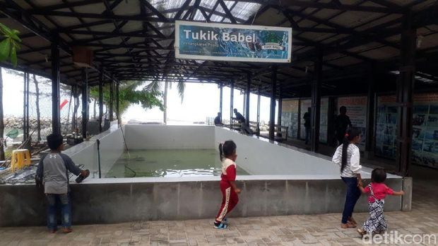 pantai tongaci