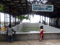 7 Wisata Edukasi di Bangka Belitung, Rekomendasi untuk Liburan Sekolah