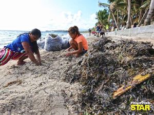 Bersih-bersih Boracay yang Disebut Duterte Penampungan Limbah