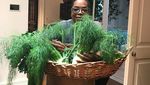 Hobi Berkebun, Lihat Aksi Oprah Panen Buah dan Sayur Segar di Halamannya!