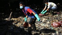 Pencemaran minyak akibat patahnya pipa Pertamina di kawasan Teluk Balikpapan, Kalimantan Timur, itu terjadi pada Sabtu (31/3) lalu.