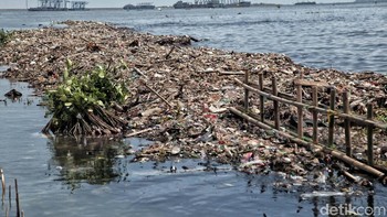 Polusi plastik telah meningkat 10 kali lipat sejak tahun 1980, dengan rata-rata 300 sampai 400 ton sampah dibuang ke perairan tiap tahun. Polusi yang menerpa ekosistem laut telah menyebabkan 400 zona mati di samudera, dengan area lebih luas dari Inggris raya. Wilayah mati itu sangat kekurangan oksigen sehingga sangat sulit mendukung kehidupan lautan. Foto: Pradita Utama