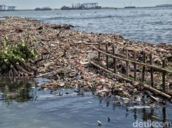 Melihat Bumi yang Terancam Sakit Parah