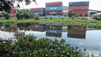 Eceng gondok itu membuat danau menjadi kumuh.