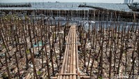 Sebelumnya pada Maret lalu, pasukan oranye telah mengangkut 133 ton sampah dari kawasan Muara Angke.