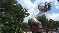Selain mobil pemadam kebakaran, petugas juga mengerahkan sebuah mobil skylift yang dipakai untuk menyelamatkan korban yang berada di ketinggian. (Foto: Indra Komara/detikcom)