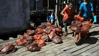 Kantong-kantong plastik berisi sisa tumpahan minyak dan sampah dikumpulkan di satu tempat.