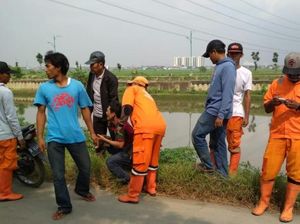 Lampu Penerangan di KBT Rorotan Mati, Ini Penyebabnya