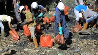 Patahnya pipa Pertamina menyebabkan kawasan Teluk Balikpapan, Kalimantan Timur, tercemar minyak.