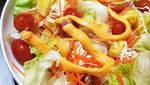 Sarapan Salad Sayur yang Sehat dan Segar Pilihan Netizen
