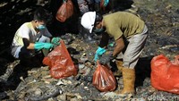 Pipa yang patah di kawasan itu menyalurkan minyak dari Lawe-Lawe menuju kilang di Balikpapan. Pipa yang bocor tersebut, terputus sepanjang 30 cm, kemudian terseret hingga 120 meter dari posisi awal.