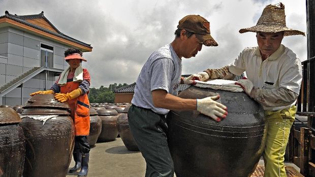 Kehidupan sehari-hari warga Desa Tongil Chon, Desa Unifikasi di DMZ.