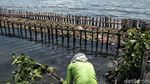 Ancaman Sampah di Pesisir Jakarta