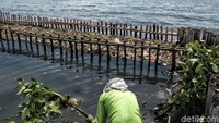 Sampah dari laut yang terjaring.