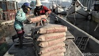 Menurut Ketua Asosiasi Semen Indonesia (ASI) Widodo Santoso tahun 2017, total kapasitas produksi semen tahunan Indonesia meningkat 107,9 juta ton. Tahun ini, kapasitas produksi semen dalam negeri akan kembali meningkat. Di antaranya disumbangkan Conch Cement Indonesia di Sulawesi Utara yang mulai berproduksi tahun ini dengan kapasitas 1,7 juta ton/tahun.