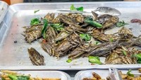 Bagi petualang makan, ada belalang goreng untuk dicoba. Teksturnya yang kriuk renyah bikin banyak orang ketagihan. Foto: Istimewa
